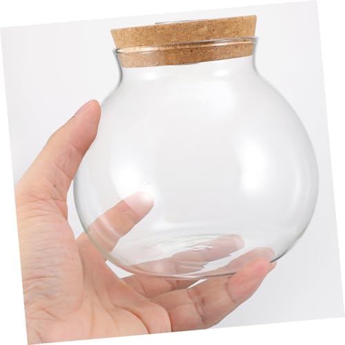 Kisangel Micro Landschaft Terrarium mit LED Beleuchtung Runde Propagationsstation Vase Transparente Hydroponische Pflanzenvase mit Korkverschluss Dekoratives Pflanzgefäß für Zuhause und von Kisangel