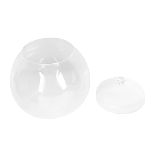 Kisangel Micro Landschaftsflasche mit Transparentem und Zufälligem Deckel DIY Flaschengarten Behälter für Moos Pflanzen und Dekoration Glattes Leicht zu Reinigendes Terrarium für Zuhause von Kisangel