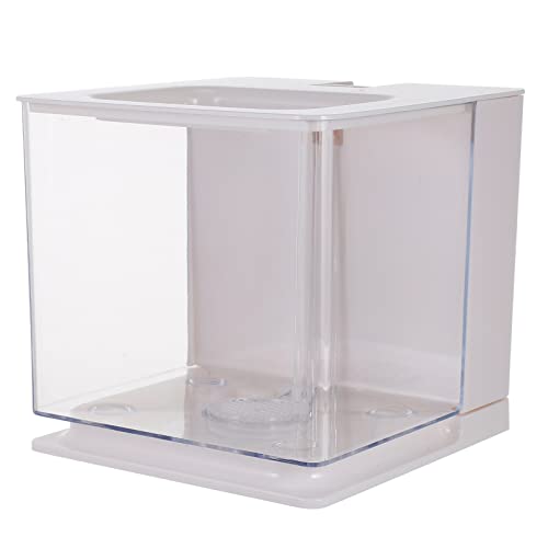 Kisangel Mini-Aquarium Garnele Anlasser Luft Bausätze Vakuum wohnzimmerdeko raumdeko Mini auarium blumrntopf Goldfischbecken kleines Aquarium Tischfischbecken Desktop-Aquarium Acryl Weiß Kisangel Mini-Aquarium Garnele Anlasser Luft Bausätze Vakuum wohnzimmerdeko raumdeko Mini auarium blumrntopf Goldfischbecken kleines Aquarium Tischfischbecken Desktop-Aquarium Acryl Weiß von Kisangel