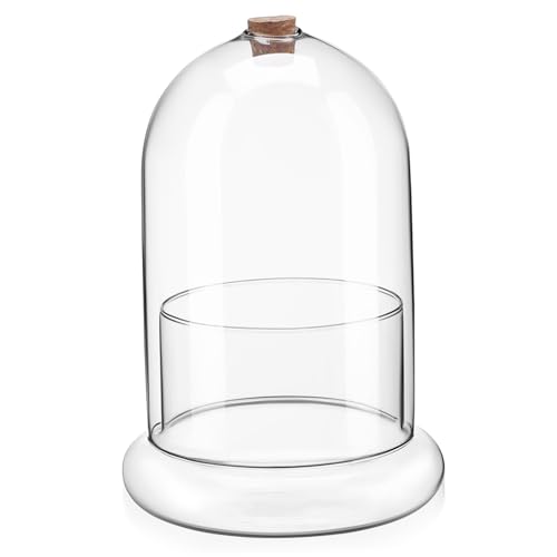 Kisangel Mooskonservierte Drinnen Moos Landschaft Container Blumenvase Landschaftsbehälter Mini-Terrarium Ökosystem Terrarium Mikro-landschaftspflanzerflasche Moos -Terrarium Glas von Kisangel