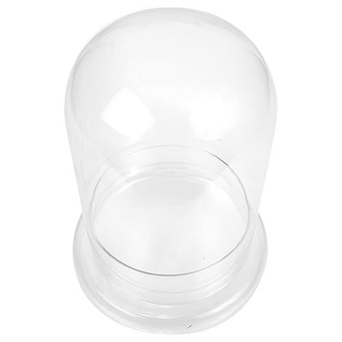 Kisangel Terrarium Flasche Dekorative Landschaftsflasche Eleganter Pflanzenbehälter Aus Glas Kisangel Terrarium Flasche Dekorative Landschaftsflasche Eleganter Pflanzenbehälter Aus Glas von Kisangel