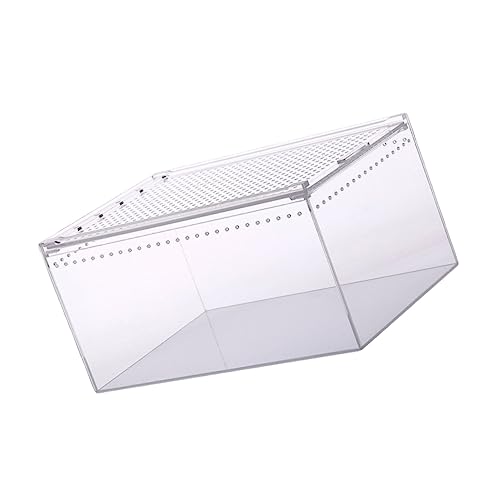Kisangel Reptilien Zuchtbox Transparent Für Spinnen Echsen Frösche Schildkröten Und Kornnattern Zu Reinigen Beobachten von Kisangel
