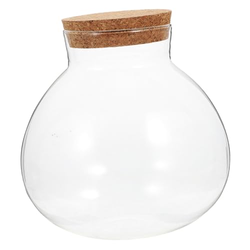 Kisangel Rundes Flaschengarten Terrarium mit Korkverschluss Transparente DIY Ökoflasche für Moos Dekoratives Ökosystem für und von Kisangel