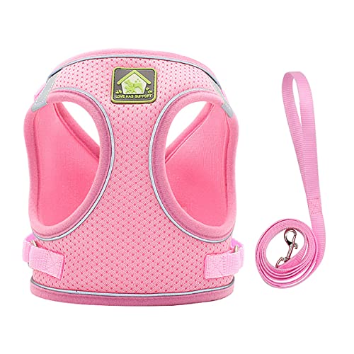 Kisangel Und Leine Set Hundeset Reflektierende Haustierweste Atmungsaktiver Brustgurt Für Hunde Outdoor-zubehör Für Haustiere Kisangel Und Leine Set Hundeset Reflektierende Haustierweste Atmungsaktiver Brustgurt Für Hunde Outdoor-zubehör Für Haustiere von Kisangel