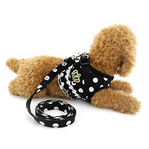 Kisangel Hunde-traktionsleinen-Set Für Hunde Zum Sicheren Spazierengehen Und Trainieren Kisangel Hunde-traktionsleinen-Set Für Hunde Zum Sicheren Spazierengehen Und Trainieren von Kisangel