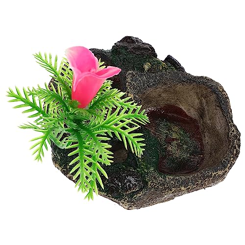 Kisangel Terrarium Futter Und Wasserschale Aus Resin Für Reptilien Langlebiger Futternapf Für Eidechsen Schildkröten Geckos Und Schlangen Naturgetreue Leicht Zu Reinigen Sichere Kisangel Terrarium Futter Und Wasserschale Aus Resin Für Reptilien Langlebiger Futternapf Für Eidechsen Schildkröten Geckos Und Schlangen Naturgetreue Leicht Zu Reinigen Sichere von Kisangel