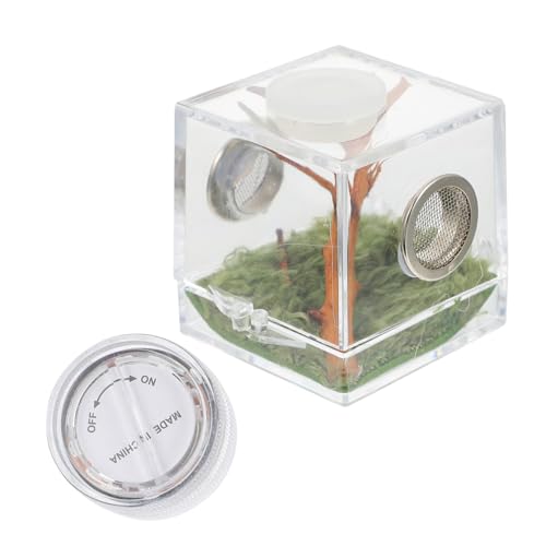 Kisangel Spinnen Lebensraumbox Klein mit Beleuchtung Belüftete Zuchtbox für Springspinnen und Kleine Insekten Transparente Aufzuchtbox für Sicheres Beobachten und Einfache Pflege von Kisangel