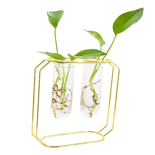 Kisangel Stilvolle Pflanzen Terrarium Glas Pflanzer Eisen Blume Pflanzer Für Home Office Dekoration von Kisangel