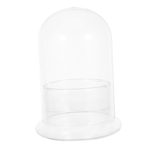 Kisangel Transparente Glas-Terrarium Vase Ø Ökosystem DIY Mikrolandschaft Terrarium Glasgefäß für Moos Pflanzen Platzsparend für Schreibtisch und Kleine Räume Einfach Hydroponisch von Kisangel