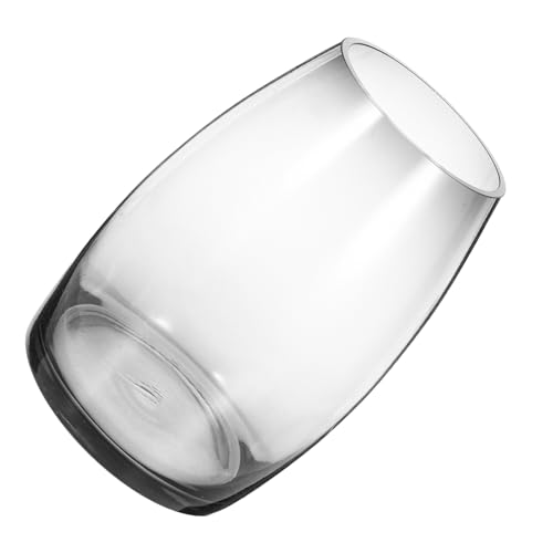 Kisangel Transparentes Terrarium Multifunktionaler Tisch Deko Fischglasbehälter für Kleine Fische und Hydroponikpflanzen Mikroökologischer Flaschengarten für Wohnzimmer und Büro von Kisangel