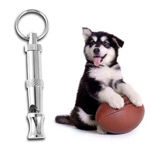 Kisangel Pfeife für Hunde hundepfeife freisprechanlage klettersteine Teddi Klicker für Hundetraining pfeift Spielzeug Ultraschallpfeife Haustier Flöte Hundetrainingszubehör Hunde trainieren Kisangel Pfeife für Hunde hundepfeife freisprechanlage klettersteine Teddi Klicker für Hundetraining pfeift Spielzeug Ultraschallpfeife Haustier Flöte Hundetrainingszubehör Hunde trainieren von Kisangel