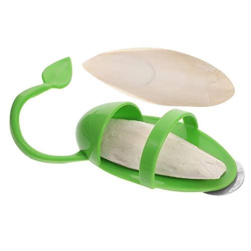 Kisangel Vogel Futterstation aus Cuttlebone mit Halterung Teiliges für Papageien und Vögel Hochwertige Futterschale für Vogelkäfige Installieren und Langlebig von Kisangel