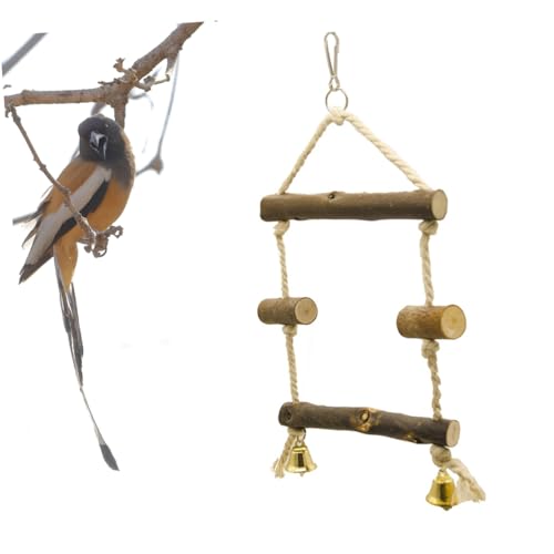 Kisangel Vogel-papagei-schaukel Spielzeug Papagei-sitzschaukel für Käfig Kletterschaukel Haustier-Training Holzleiter für Vögel Kisangel Vogel-papagei-schaukel Spielzeug Papagei-sitzschaukel für Käfig Kletterschaukel Haustier-Training Holzleiter für Vögel von Kisangel