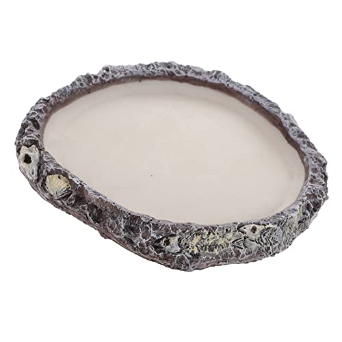 Kisangel Terrarium Wasser Und Futterbehälter Für Reptilien Wasserschale Für Schildkröten Eidechsen Und Geckos Leicht Zu Reinigen Für Futter Und Wasser rutschfeste Ausführung Kisangel Terrarium Wasser Und Futterbehälter Für Reptilien Wasserschale Für Schildkröten Eidechsen Und Geckos Leicht Zu Reinigen Für Futter Und Wasser rutschfeste Ausführung von Kisangel