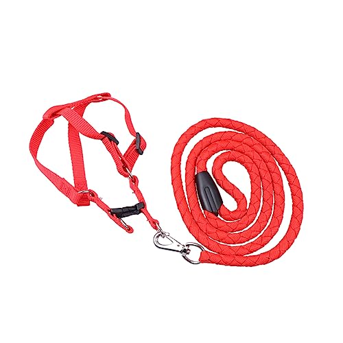 Kisangel Verstellbares Hundegeschirr Mit Komfortablem Nylonstoff Für Outdoor-aktivitäten Leuchtendem Rot XXL Für Einen Angenehmen Spaziergang Mit Ihrem Haustier Kisangel Verstellbares Hundegeschirr Mit Komfortablem Nylonstoff Für Outdoor-aktivitäten Leuchtendem Rot XXL Für Einen Angenehmen Spaziergang Mit Ihrem Haustier von Kisangel