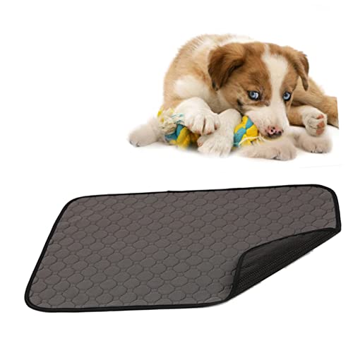 Kisangel Pet Pee Pad Hundeunterlage Tragbare Töpfchenunterlage Wiederverwendbare Hunde-PIPI-unterlage Welpen-trainingsunterlage Größe S - Unten Kisangel Pet Pee Pad Hundeunterlage Tragbare Töpfchenunterlage Wiederverwendbare Hunde-PIPI-unterlage Welpen-trainingsunterlage Größe S - Unten von Kisangel