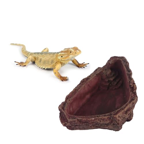 Kisangel Resin-Futter Und Wasserschale Für Reptilien Imitation Für Eidechsen Frösche Und Spinnen Kompakte Fress Und Trinkschale Für Terrarien Und Vivarien Kisangel Resin-Futter Und Wasserschale Für Reptilien Imitation Für Eidechsen Frösche Und Spinnen Kompakte Fress Und Trinkschale Für Terrarien Und Vivarien von Kisangel