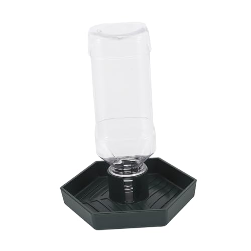Kisangel automatische Wasserzufuhr Kleiner Wasserspender für Reptilien stehender Schildkrötentränke Kompakter Schildkrötentränke Boden-Reptilienschale Abs Dark Green Kisangel automatische Wasserzufuhr Kleiner Wasserspender für Reptilien stehender Schildkrötentränke Kompakter Schildkrötentränke Boden-Reptilienschale Abs Dark Green von Kisangel