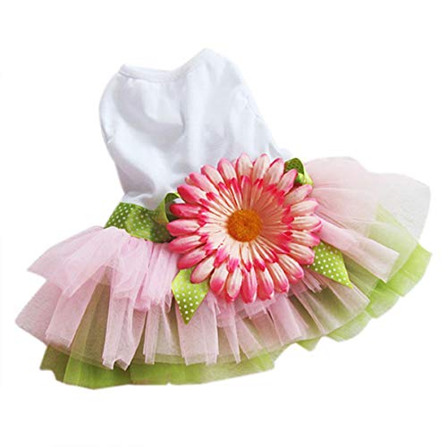 Kisangel Elegantes Haustier-blumenkleid Hundekleidung Weste Hemden Größe L Für Joggen Fotos von Kisangel