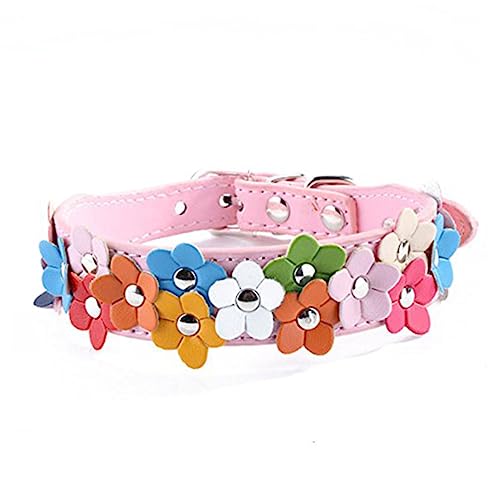 Kisangel Fashion Flower Decor Adjustable Pet Dog Cat Puppy Safety Collar Verstellbares Pu-hundehalsband Mit Blumenmotiven Für Hunde Katzen Und Welpen Rosa Strapazierfähiges Material Für von Kisangel