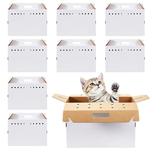 Kisston 12 Stück Transportbox für Haustiere, Katzen, Hamster, Meerschweinchen, Kaninchen, Vogel, 17,5 x 8,5 x 15 Zoll Kisston 12 Stück Transportbox für Haustiere, Katzen, Hamster, Meerschweinchen, Kaninchen, Vogel, 17,5 x 8,5 x 15 Zoll von Kisston