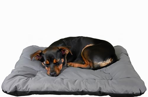 Hundekissen passend für Hundebett große Hunde in verschiedenen Maßen auch für Hundebett mittelgroße Hunde Tierkissen Katzenbett Tierunterlage Hundeunterlage Dog Bed XXL Hundekissen passend für Hundebett große Hunde in verschiedenen Maßen auch für Hundebett mittelgroße Hunde Tierkissen Katzenbett Tierunterlage Hundeunterlage Dog Bed XXL von Kistenkolli Altes Land
