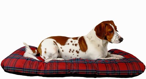 Hundekissen passend für Hundebett große Hunde in verschiedenen Maßen auch für Hundebett mittelgroße Hunde Tierkissen Katzenbett Tierunterlage Hundeunterlage Dog Bed XXL Hundekissen passend für Hundebett große Hunde in verschiedenen Maßen auch für Hundebett mittelgroße Hunde Tierkissen Katzenbett Tierunterlage Hundeunterlage Dog Bed XXL von Kistenkolli Altes Land
