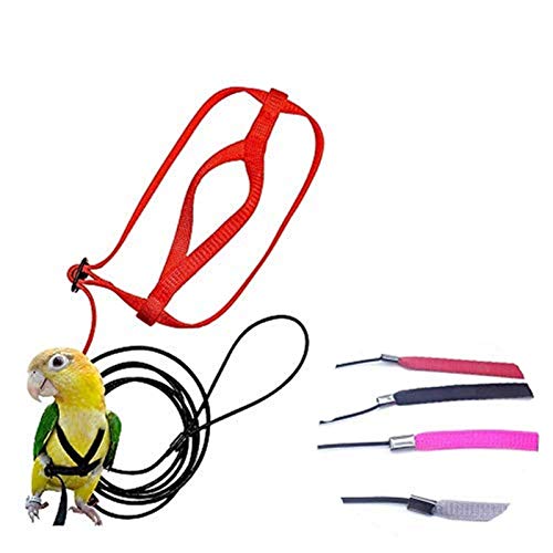 Kitabetty Parrot Bird Leash und Harness, Outdoor-Anti-Biss-Vogel Flying Traction Rope Vogel-Führleine Tragbar für Scarlet Parrot Macaw Birds von Kitabetty