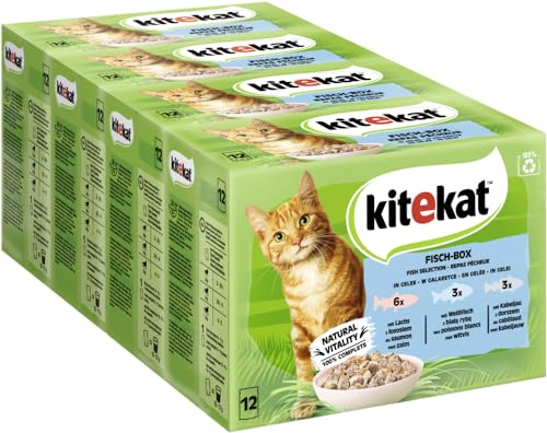 KITEKAT Portionsbeutel Multipack Fisch-Box in Gelee 4x12x85g Katzenfutter Nassfutter von Kitekat