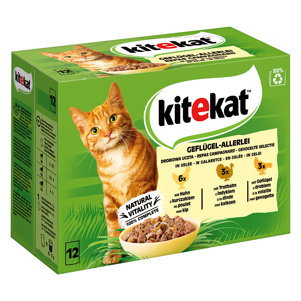 Kitekat Frischebeutel 48 x 85 g - Geflügel-Allerlei in Gelee Kitekat Frischebeutel 48 x 85 g - Geflügel-Allerlei in Gelee von Kitekat
