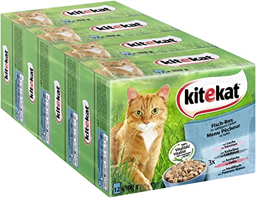 Kitekat Katzenfutter Nassfutter Fisch Box in Gelee, 48 Portionsbeutel (4 x 12 x 100g) von Kitekat