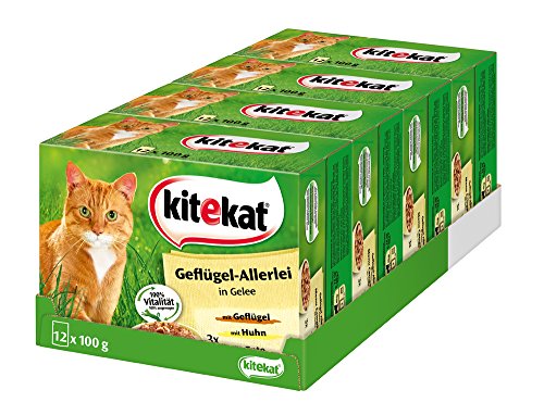Kitekat Katzenfutter Nassfutter Geflügel-Allerlei in Gelee, 48 Portionsbeutel (4 x 12 x 100g) von Kitekat