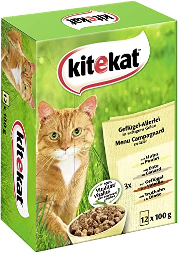 Kitekat Multipack 12x100g Geflügel-Allerlei in Gelee, 1er Pack (1 x 1.2 kg) von Kitekat