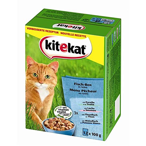 Kitekat P.B. M.P. Fisch - Box in Gelee 12 x 100g Kitekat P.B. M.P. Fisch - Box in Gelee 12 x 100g von Kitekat