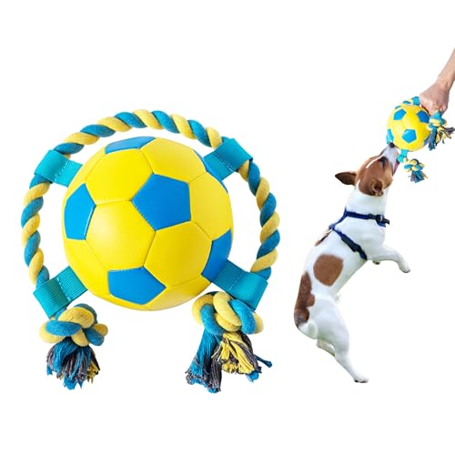 Kitensil Hundespielzeug, Fußball mit Riemen und Seil, interaktives Hundespielzeug mit Seil zum Tauziehen, Welpengeburtstagsgeschenke, Hundespielzeug, Wasserspielzeug, langlebige Hundebälle für kleine Kitensil Hundespielzeug, Fußball mit Riemen und Seil, interaktives Hundespielzeug mit Seil zum Tauziehen, Welpengeburtstagsgeschenke, Hundespielzeug, Wasserspielzeug, langlebige Hundebälle für kleine von Kitensil