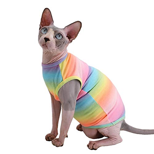 Sphynx Haarlose Katze, niedliche Sommer-Baumwoll-T-Shirts, Haustierkleidung, Rundkragen, Kätzchen-Shirts, Katzenbekleidung (Regenbogen, Größe M (1 Stück)) von Kitipcoo