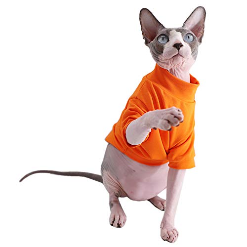 Sphynx Haarlose Katzen-T-Shirts aus Baumwolle, Haustierkleidung, Pullover Kätzchen-T-Shirts mit Ärmeln, Katzen und kleine Hunde, einfarbig, Größe M + (3,3–3,9 kg), Orange von Kitipcoo