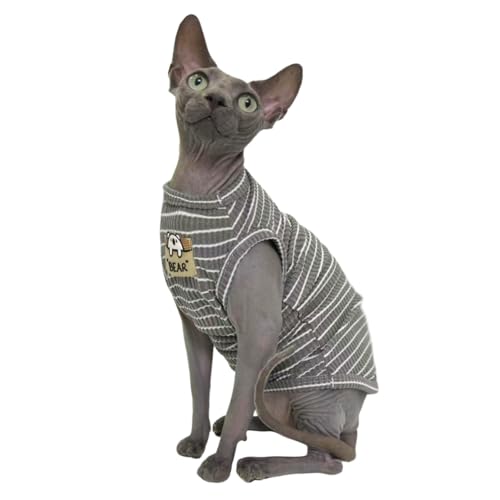 Sphynx Katzenkleidung, Weste für haarlose Katzen, geripptes gestreiftes Katzen-T-Shirt, Kleidung, Kätzchen, Sommer, Baumwoll-Shirt, ärmellos, für Cornish Rex, Devon Rex, Peterbald (Grau, Größe XL (4,5 Sphynx Katzenkleidung, Weste für haarlose Katzen, geripptes gestreiftes Katzen-T-Shirt, Kleidung, Kätzchen, Sommer, Baumwoll-Shirt, ärmellos, für Cornish Rex, Devon Rex, Peterbald (Grau, Größe XL (4,5 von Kitipcoo