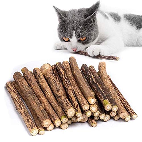 30 Stück katzenminze Sticks für Katzen, matatabi Stick Katzen Sticks, Matatabi-Kausticks als Katzenspielzeug, kauholz Katze Catnip Sticks (Katzenminze Stick) von Kito Lee