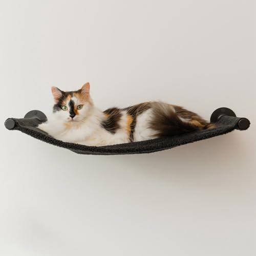 Katzenhängematte Wandregal, Wandmontierte Möbel für Katzenunterstützung bis zu 15 kg, schwarze Hängematte Katzenhängematte Wandregal, Wandmontierte Möbel für Katzenunterstützung bis zu 15 kg, schwarze Hängematte von Kitsune Garden