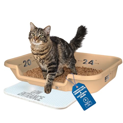 KittyGoHere Katzentoilette für Senioren, große Größe, Strandsandfarbe, langlebig und haustiersicher, niedriger Einstieg von 7,6 cm und viel mehr Platz für Ihre Katzen KittyGoHere Katzentoilette für Senioren, große Größe, Strandsandfarbe, langlebig und haustiersicher, niedriger Einstieg von 7,6 cm und viel mehr Platz für Ihre Katzen von NE14pets