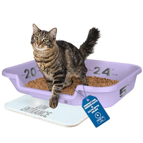 Kitty Go Here Senior Katzentoilette für Katzen, die mit einer traditionellen Katzentoilette nicht zurecht kommen können.Storybook Lavendelfarbe siehe Foto von Maßen.Kein Deckel erhältlich USA Kitty Go Here Senior Katzentoilette für Katzen, die mit einer traditionellen Katzentoilette nicht zurecht kommen können.Storybook Lavendelfarbe siehe Foto von Maßen.Kein Deckel erhältlich USA von Kitty Go Here