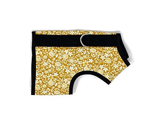 Kitty Holster Katzengeschirr, Größe M/L, blühendes Gold Kitty Holster Katzengeschirr, Größe M/L, blühendes Gold von Kitty Holster