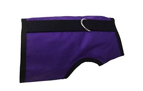 Kitty Holster - M/L Lila Kitty Holster - M/L Lila von Kitty Holster