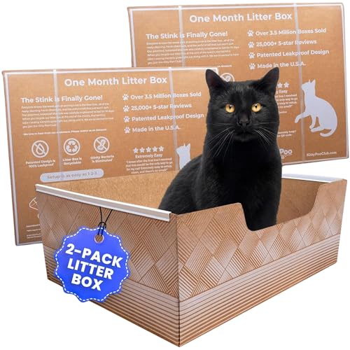 Auslaufsichere Einweg-Katzentoilette, 2er-Pack, unübertroffene Geruchskontrolle, recycelbar. Kitty Poo Club Auslaufsichere Einweg-Katzentoilette, 2er-Pack, unübertroffene Geruchskontrolle, recycelbar. Kitty Poo Club von Kitty Poo Club