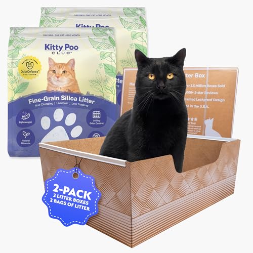 Auslaufsichere Einweg-Katzentoilette mit 2 Beuteln mit 2,7 kg Streu, hervorragende Geruchskontrolle und recycelbares Design, perfekt für Reisen, Häuser mit mehreren Katzen und den täglichen Gebrauch Auslaufsichere Einweg-Katzentoilette mit 2 Beuteln mit 2,7 kg Streu, hervorragende Geruchskontrolle und recycelbares Design, perfekt für Reisen, Häuser mit mehreren Katzen und den täglichen Gebrauch von Kitty Poo Club