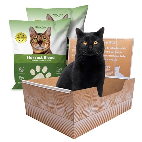 Auslaufsichere Einweg-Katzentoilette mit Grasstreu, hervorragende Geruchskontrolle und recycelbares Design, perfekt für Reisen, Häuser mit mehreren Katzen und den täglichen Gebrauch Kitty Poo Club Auslaufsichere Einweg-Katzentoilette mit Grasstreu, hervorragende Geruchskontrolle und recycelbares Design, perfekt für Reisen, Häuser mit mehreren Katzen und den täglichen Gebrauch Kitty Poo Club von Kitty Poo Club