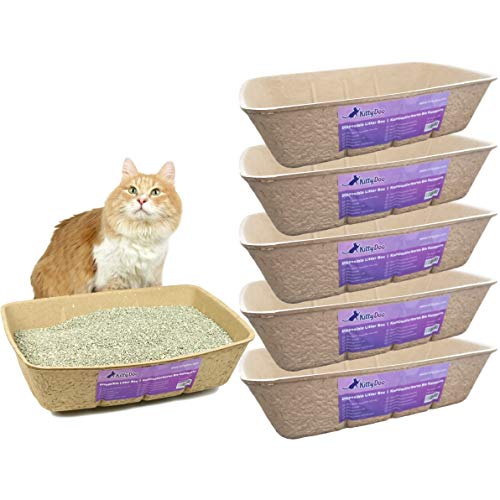 KittyDoo Katzenklo, Praktische und Zuverlässige Katzentoilette aus Karton - Kratzfest, Wasserdicht, Hygienisch, Geruchsarm, Atmungsaktiv, Recyclebar - (5er-Pack) von KittyDoo