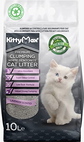 KittyMax Klumpstreu Katzenstreu-Super Premium Lavendel 2 x 10L 100% Bentonite von KittyMax