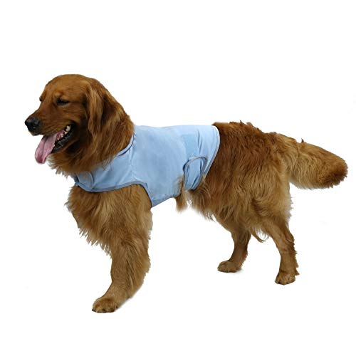 KittyStar Atmungsaktives Hundeshirt für Gewitter, Angstweste, Jacke, Warp, beruhigender Mantel für Welpen, Angstlinderung (Größe L, Blau) von KittyStar